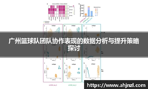 广州篮球队团队协作表现的数据分析与提升策略探讨